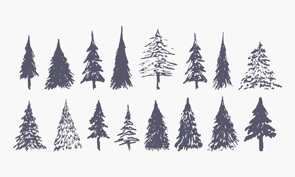 set of hand drawn winter trees (vector sketched spruce, fir and xmas trees)