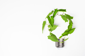 Renewable energy, sustainability, ecology concept. Light bulb made of green plant over white...