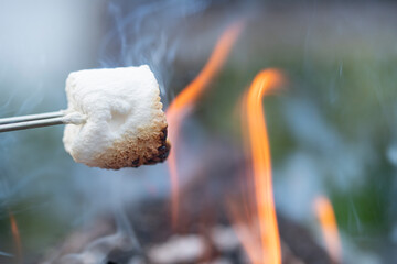 Marshmallow roasting on the campfire