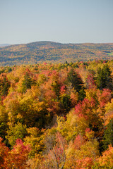 Colorful Autumn fall trees and scrub bushes and the Vermont mountains