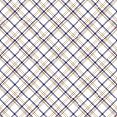 Blue Diagonal Plaid Tartan textured Seamless Pattern Design