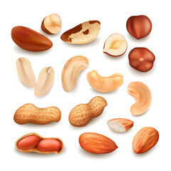 Nuts Delicious Natural Bio Nutrition Set Vector. Peanut And Brazil Nuts, Cashew And Hazelnut Fresh Food In Shell And Cut Pieces. Fresh Harvesting Seed Nutriment Template Realistic 3d Illustrations