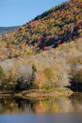Autumn trees on a Vermont Pond near the end of the fall season on a gorgeous fall day
