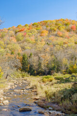 Fototapeta premium Clear cold brook runs past autumn tree covered mountain in Vermont USA