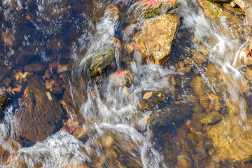 Ice cold and clear clean water runs over small rocks and boulders in a Vermont stream