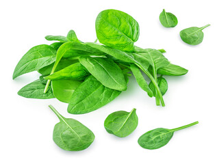 Spinach leaves isolated on white background. Various Spinach leaf Macro. Top view. Flat lay..