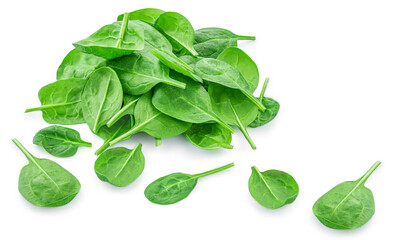 Spinach leaves isolated on white background. Various Spinach leaf Macro. Top view. Flat lay..