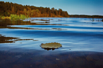 reflection in the lake