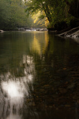 river in the woods
