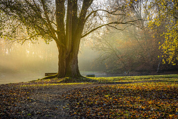 Novembermorgen im Revierpark Vonderort zwischen Bottrop und Oberhausen