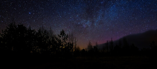 Beautiful night sky colors. Colorful night sky and trees. night scene in swamp under sky of stars