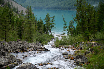 Fast mountain river flows between stones
