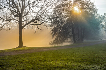 November im Revierpark Vonderort zwischen Oberhausen und Bottrop