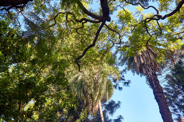 Buenos Aires