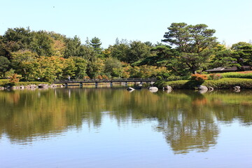 Fototapeta na wymiar 池を中心に造られたの本庭園。