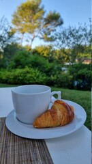 Cup of coffee with croissant on the table in the garden. High quality photo