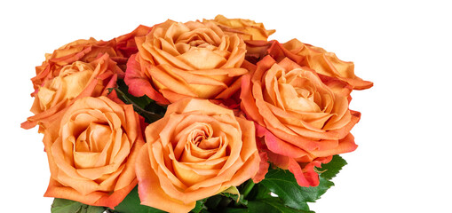 Fototapeta na wymiar Beautiful bouquet of orange roses isolated on white.