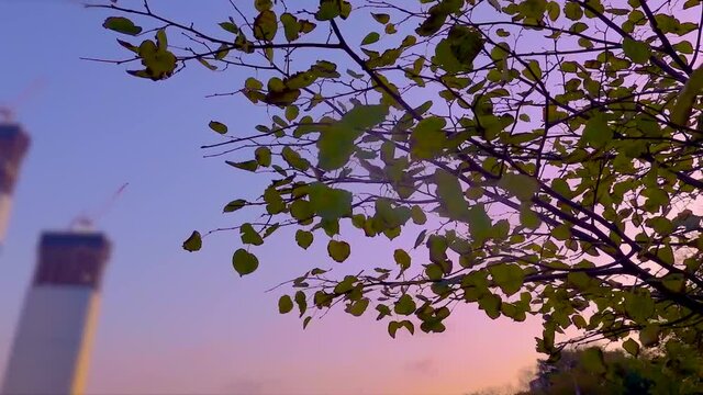 cold autumn dawn in the city