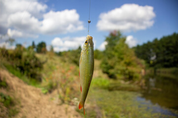 Gossip fish on a hook. Against the background of blue sky.