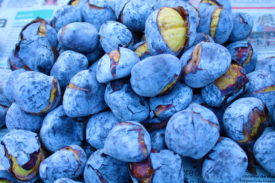 Castanhas Assadas, Outono, Magusto, S&atilde;o Martinho, Novembro
