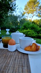 Breakfast with a cup of coffee, orange fresh. a boiled egg in a stand and a croisser on a table in the garden in nature. High quality photo