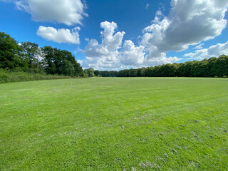 Große weite Wiese im Sommer als Hintergrund mit viel Textfreiraum oder Copy Space