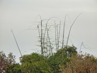 &ldquo;Clouds come floating into my life, no longer to carry rain or usher storm, but to add color to my sunset sky.&rdquo;