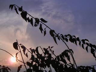 &ldquo;Clouds come floating into my life, no longer to carry rain or usher storm, but to add color to my sunset sky.&rdquo;