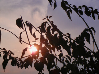 &ldquo;Clouds come floating into my life, no longer to carry rain or usher storm, but to add color to my sunset sky.&rdquo;