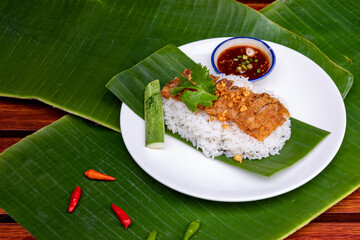 fried  pork with rice with spicy sauce in Asian style