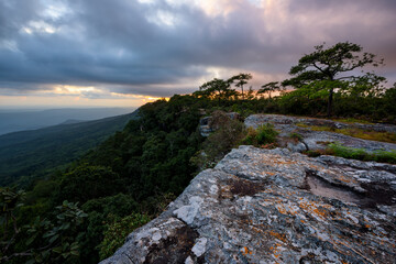 Beautiful sunset landscape from the pine forest in the national park on top mountain at Loei Province, Thailand.
