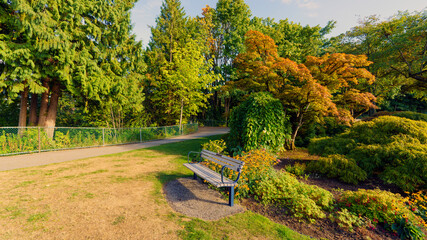 Fall precursors at Burnaby Mountain Park gardens, BC,  on an overcast late summer afternoon