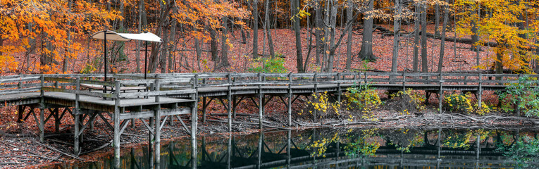 Panoramic view of scenic boardwalk trail along lake in Maybury state park in Michigan