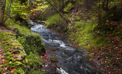 Running water at Wagner creek in autumn time near Munising in Michigan upper peninsula.