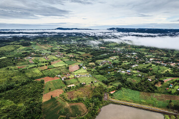 Agricultural green field farmland with fog in countryside on rainy day