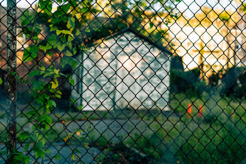 Abandoned shed viewed through chain link fence with ivy. 