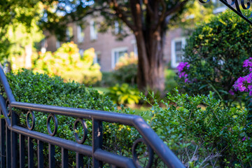 Close up view of steps railing, overlooking community courtyard garden. 