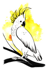 A white parrot cockatoo with a yellow tuft sits on a branch. Hand painted ink watercolor illustration with brush strokes on yellow paint splatter splatter background.