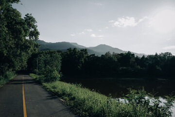 Daylight covered the area of rainforest with straightly narrow way , hope and dream concept