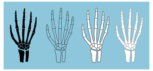 Skeleton Hand Anatomy Clipart Set