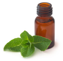 Mint leaves with essential oil in a bottle