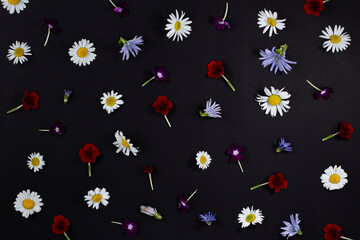 A pattern of bright summer flowers on a black background, flat lay.