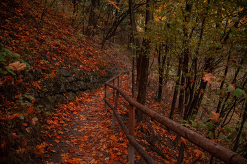 beautiful country side vibrant autumn landscape trail with rural palisade and stone wall decorative objects in October park