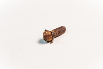 cloves on white background
