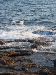 Sea, wall, sun, sea, day, tree