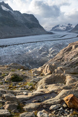 Am Aletschgletscher