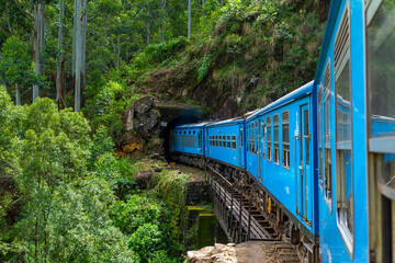A blue passenger train moves through the jungle of Sri Lanka
