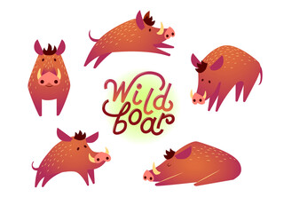 Wild animals boar vector flat design illustration. Set of cute boar illustrations