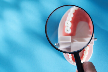 mamgnifying glas and model tooth