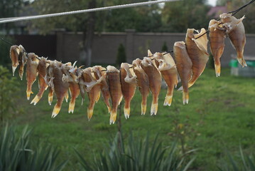 Salted Fish Ram Is Hanging On Wire